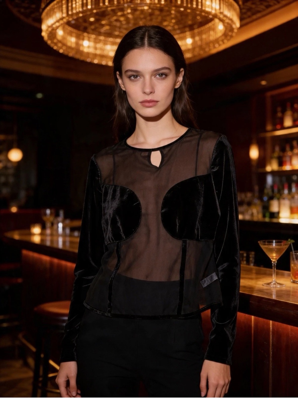 Jolie & Joy by FCT with Love Velvet Sheer Stretch Blouse Long Sleeve Black 3X
